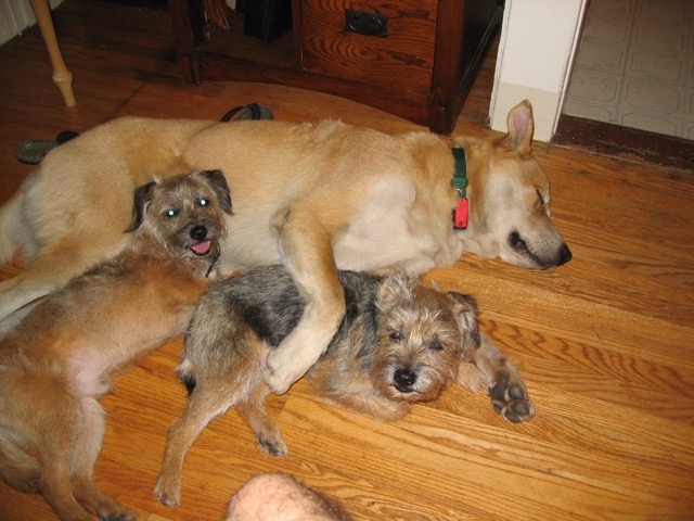 Thor, Romulus and Remus