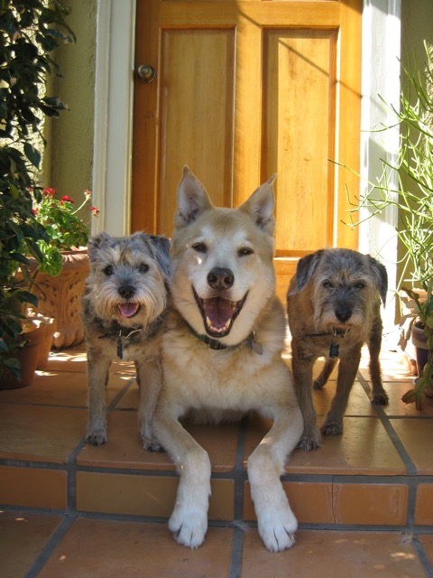 Remus, Thor and Romulus